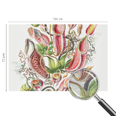 Fototapeta do obýváku Detaily rostliny