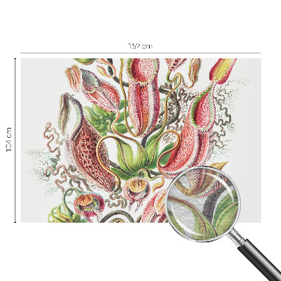 Fototapeta do obýváku Detaily rostliny