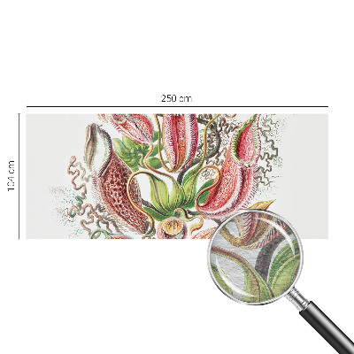 Fototapeta do obýváku Detaily rostliny