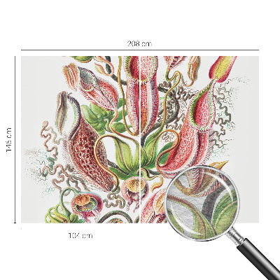 Fototapeta do obýváku Detaily rostliny