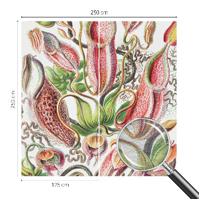 Fototapeta do obýváku Detaily rostliny