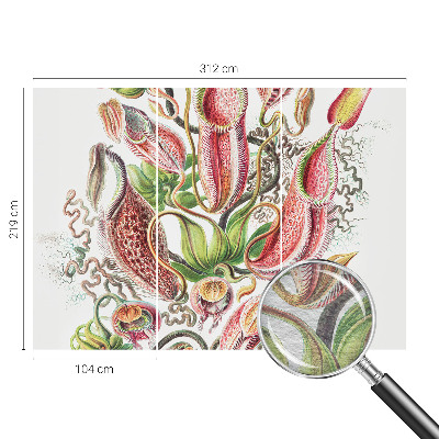 Fototapeta do obýváku Detaily rostliny