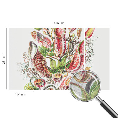 Fototapeta do obýváku Detaily rostliny