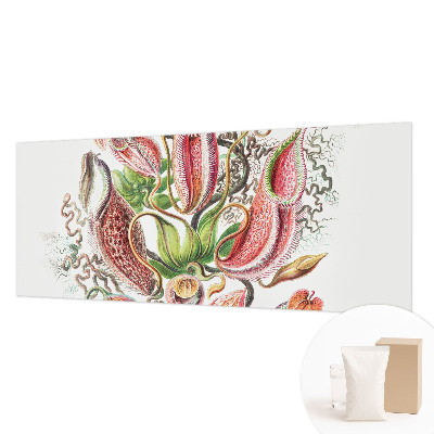 Fototapeta do obýváku Detaily rostliny