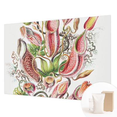 Fototapeta do obýváku Detaily rostliny