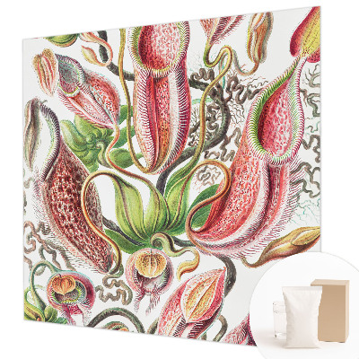 Fototapeta do obýváku Detaily rostliny