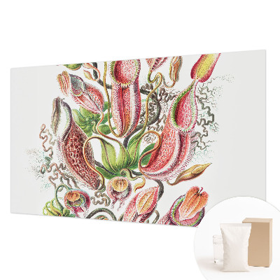 Fototapeta do obýváku Detaily rostliny