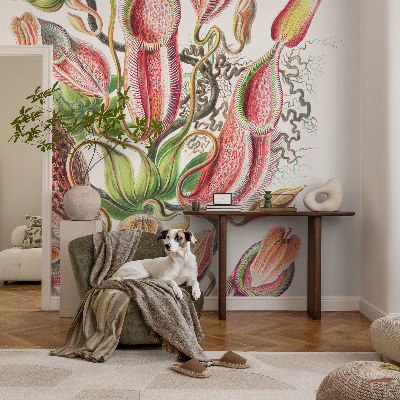 Fototapeta do obýváku Detaily rostliny