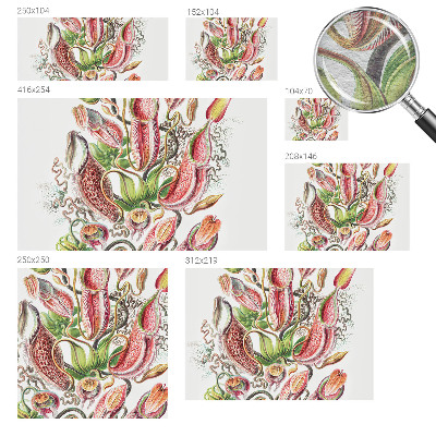 Fototapeta do obýváku Detaily rostliny