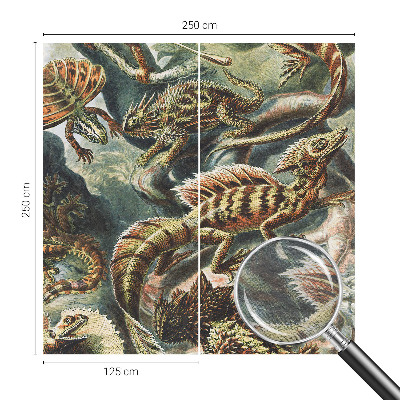 Fototapeta do ložnice Exotických plazů