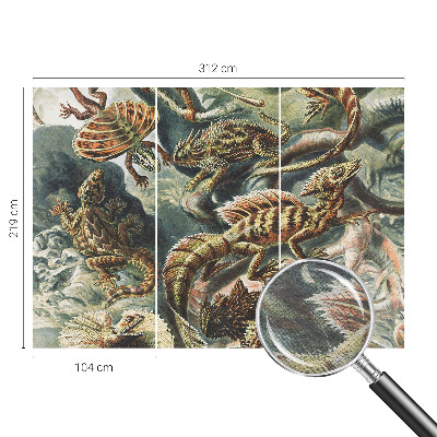 Fototapeta do ložnice Exotických plazů