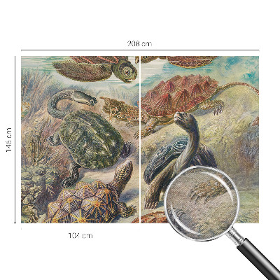 Vliesová fototapeta pro děti Želví fauna