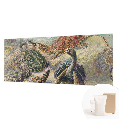 Vliesová fototapeta pro děti Želví fauna