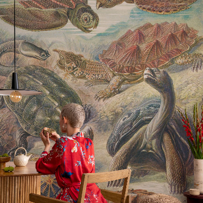 Vliesová fototapeta pro děti Želví fauna