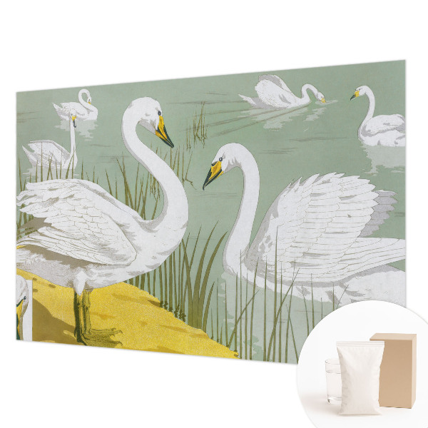 Dekorativní fototapeta na zeď Labutí jezero