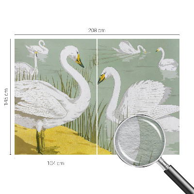 Dekorativní fototapeta na zeď Labutí jezero