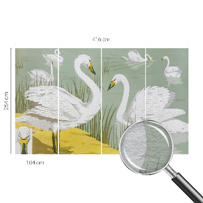 Dekorativní fototapeta na zeď Labutí jezero