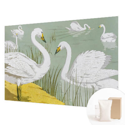 Dekorativní fototapeta na zeď Labutí jezero