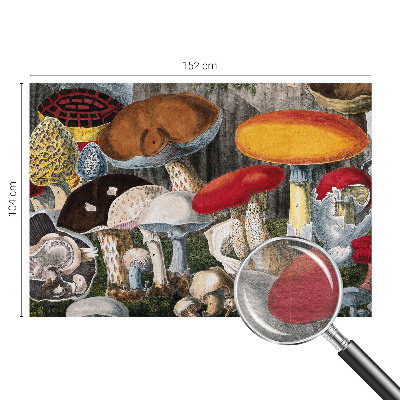 Fototapeta na stěnu Botanické houby