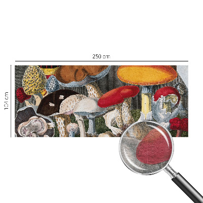 Fototapeta na stěnu Botanické houby