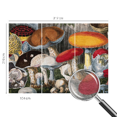 Fototapeta na stěnu Botanické houby