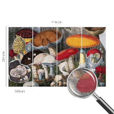 Fototapeta na stěnu Botanické houby