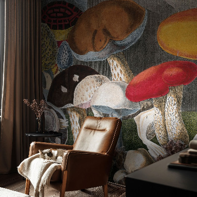 Fototapeta na stěnu Botanické houby