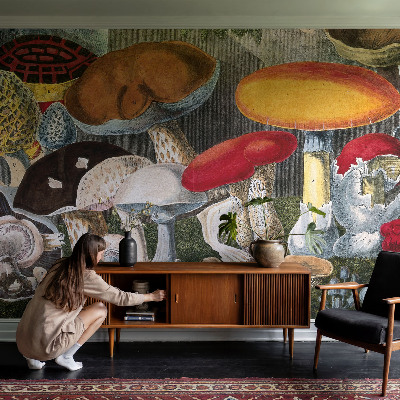 Fototapeta na stěnu Botanické houby