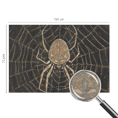 Fototapeta na zeď Pavučina