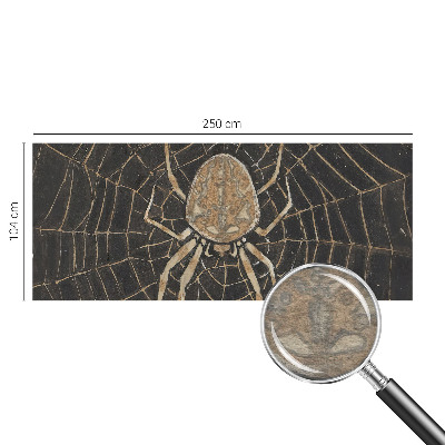 Fototapeta na zeď Pavučina