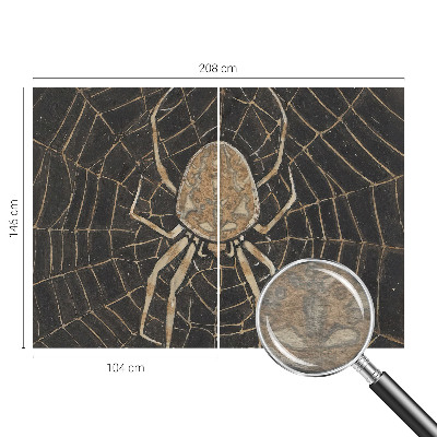 Fototapeta na zeď Pavučina