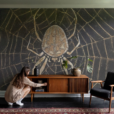 Fototapeta na zeď Pavučina