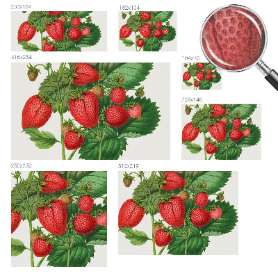 Fototapeta do ložnice Letní ovoce