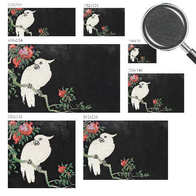 Fototapeta s potiskem na vliesu Papoušek z granátového jablka