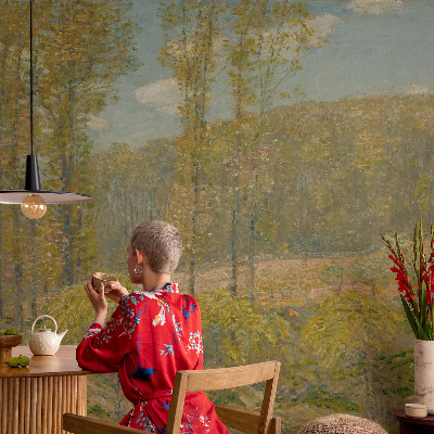 Vliesová fototapeta s potiskem Lesní krajina