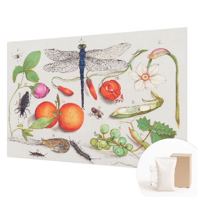 Fototapeta s potiskem na vliesu Ilustrace přírody