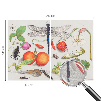 Fototapeta s potiskem na vliesu Ilustrace přírody