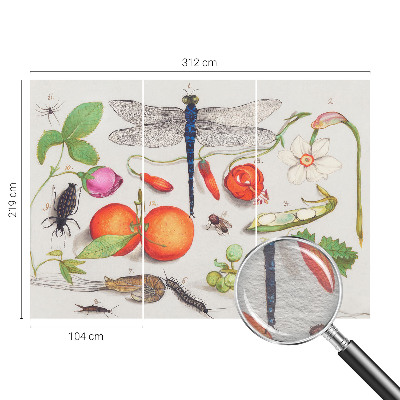 Fototapeta s potiskem na vliesu Ilustrace přírody