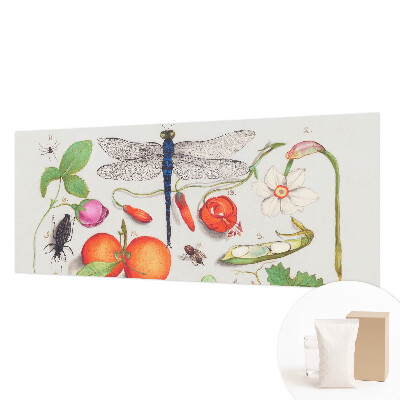 Fototapeta s potiskem na vliesu Ilustrace přírody