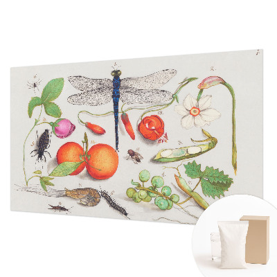 Fototapeta s potiskem na vliesu Ilustrace přírody