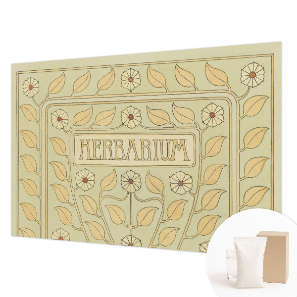 Fotografická tapeta na vliesu Rostlinná ozdoba