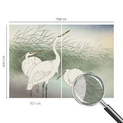 Fototapeta na míru do obýváku Volavky v trávě