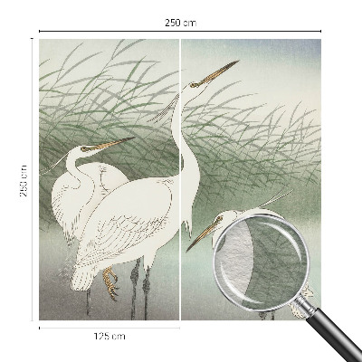 Fototapeta na míru do obýváku Volavky v trávě