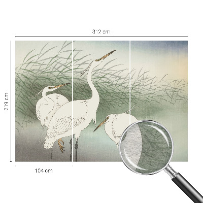 Fototapeta na míru do obýváku Volavky v trávě