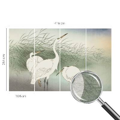 Fototapeta na míru do obýváku Volavky v trávě