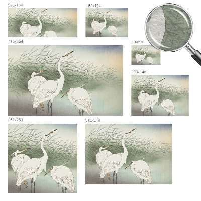 Fototapeta na míru do obýváku Volavky v trávě