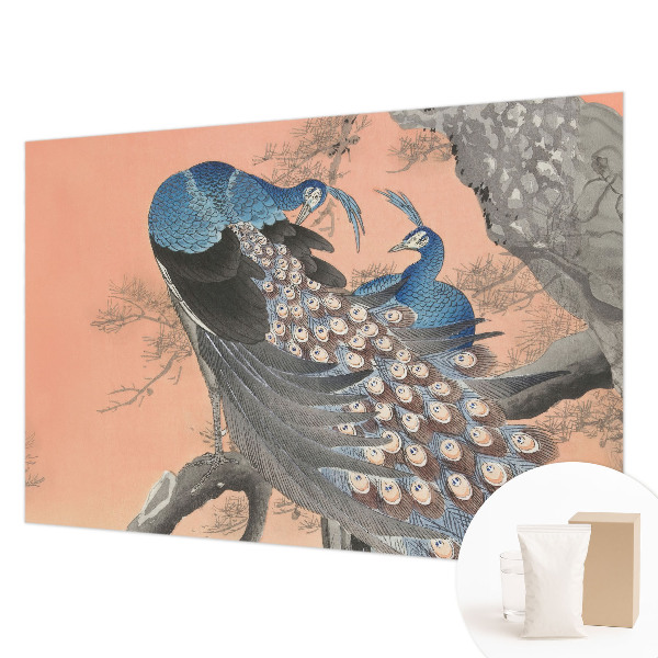 3D fototapeta Páví elegance