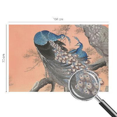 3D fototapeta Páví elegance