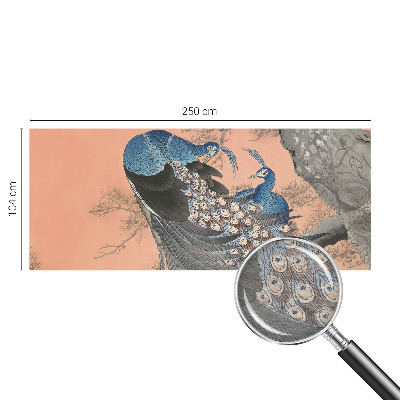 3D fototapeta Páví elegance