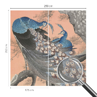 3D fototapeta Páví elegance